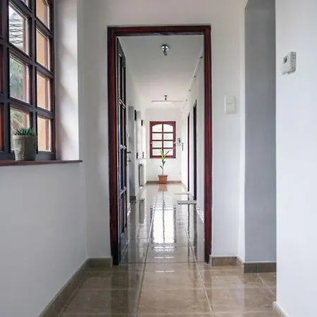Feher Tulipan Vendeghaz